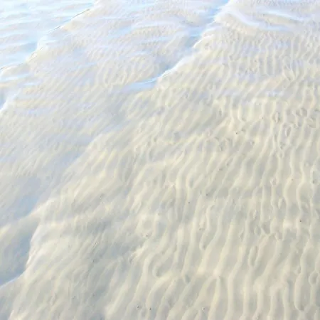 Esperienza Mare E Pini 7 